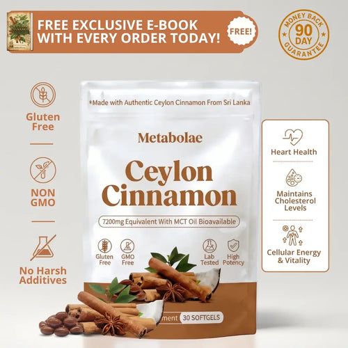 Cannelle de Ceylan 7200 mg, équivalent à de l'huile TCM 0