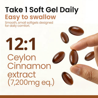Cannelle de Ceylan 7200 mg, équivalent à de l'huile TCM 3
