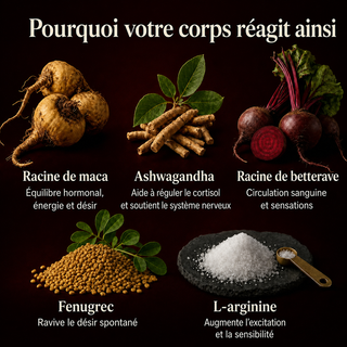 Maca root complexes 1