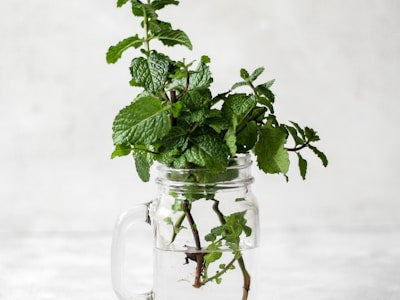 Huile de menthe poivrée
